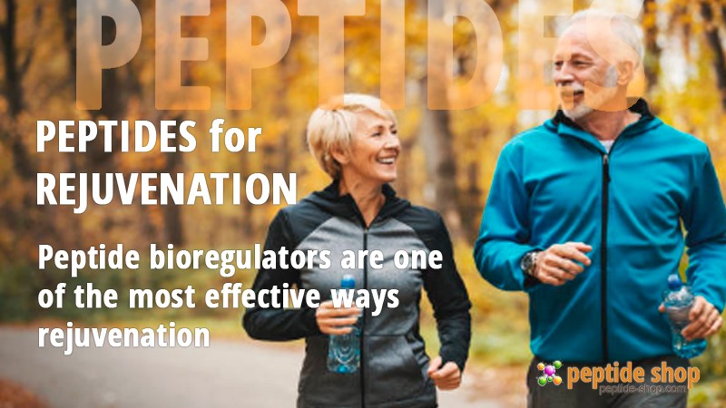 revilab large cat eng