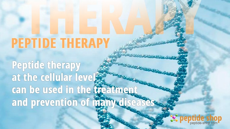 therapy large cat eng