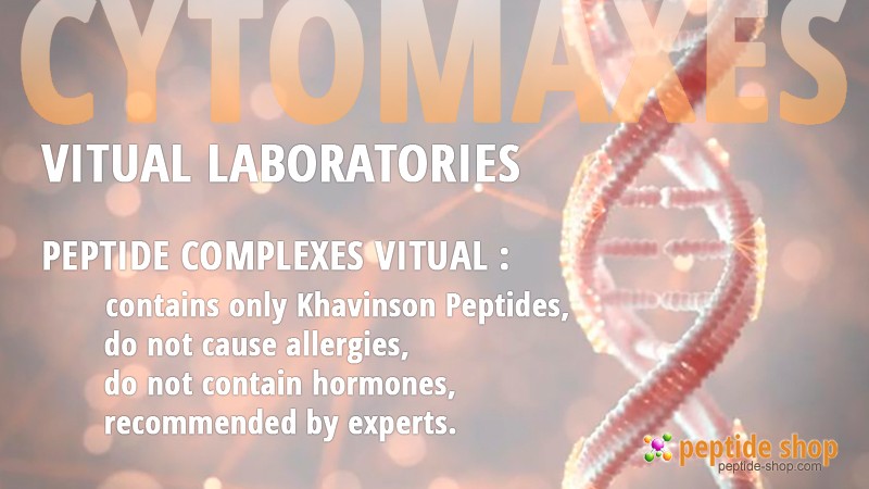 vitual large cat eng