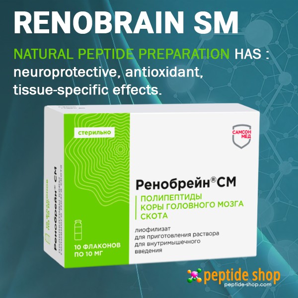 renobrain sm cat 600 ps new