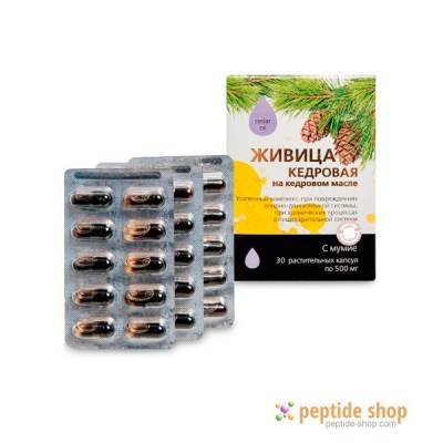 cedar galipot and cedar oil with mummiyo in capsules