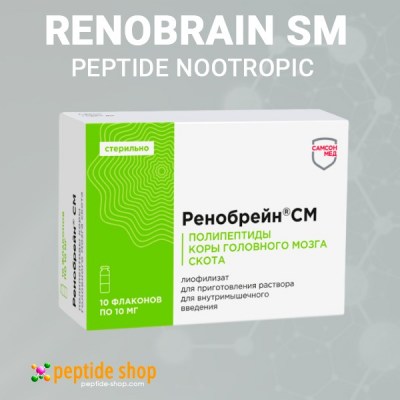 renobrain