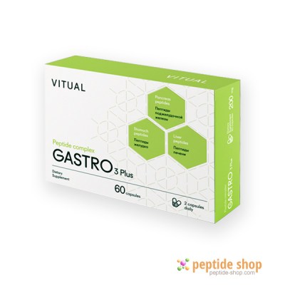 GASTRO 3 Plus 60